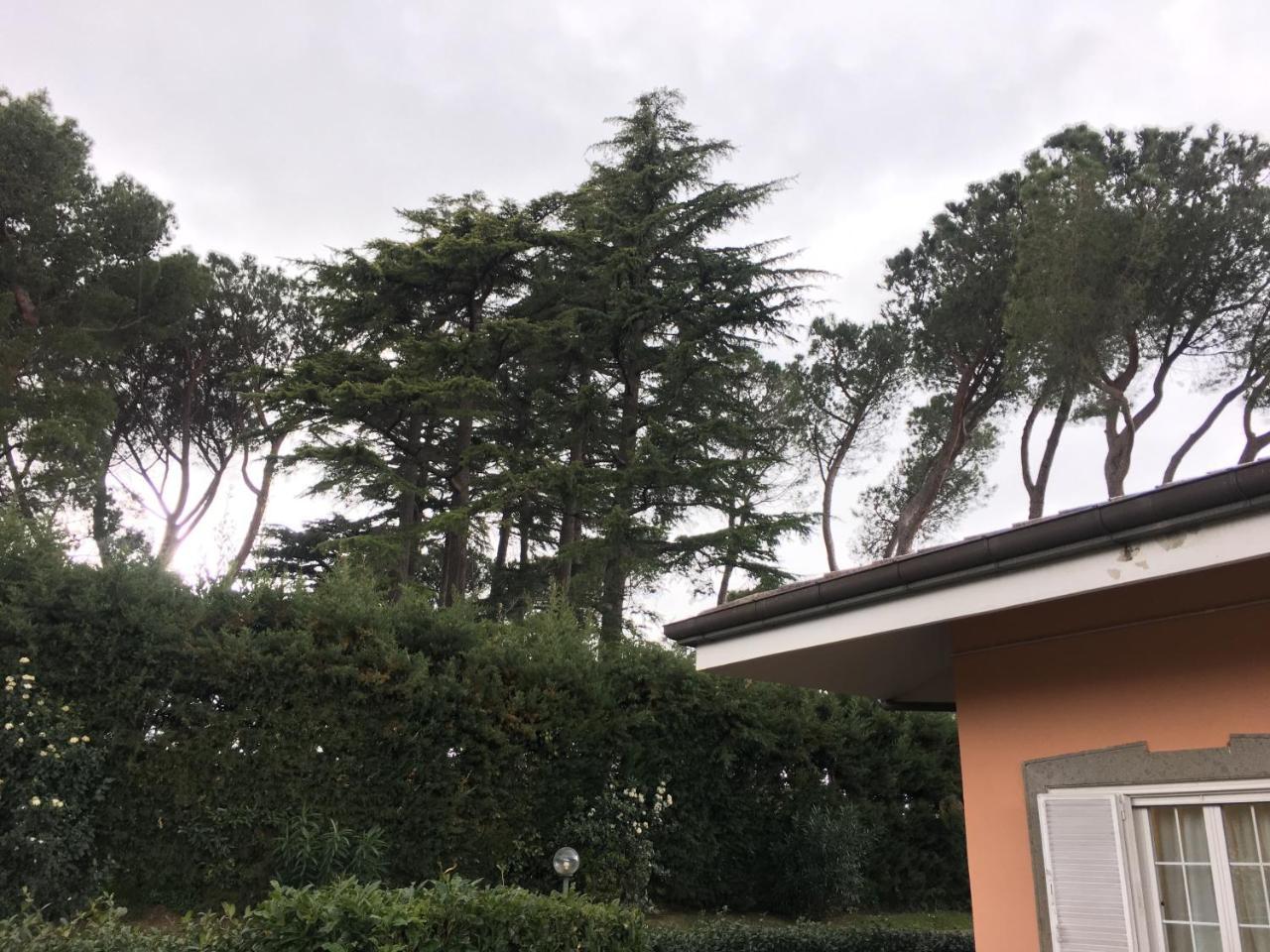 Villagio B&B Frascati Luaran gambar